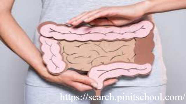 Poros Usus-Otak: Temuan Tak Terduga